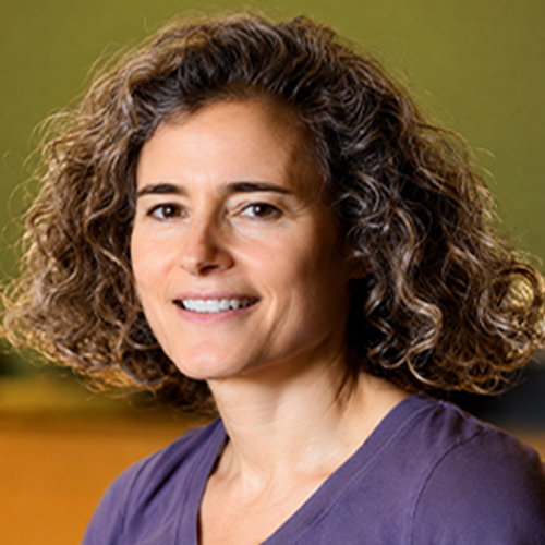 Prof. Keren Bergman